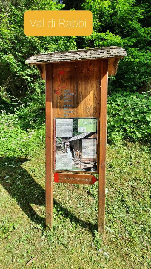 Marmot Apartment Dimaro Bagian luar foto