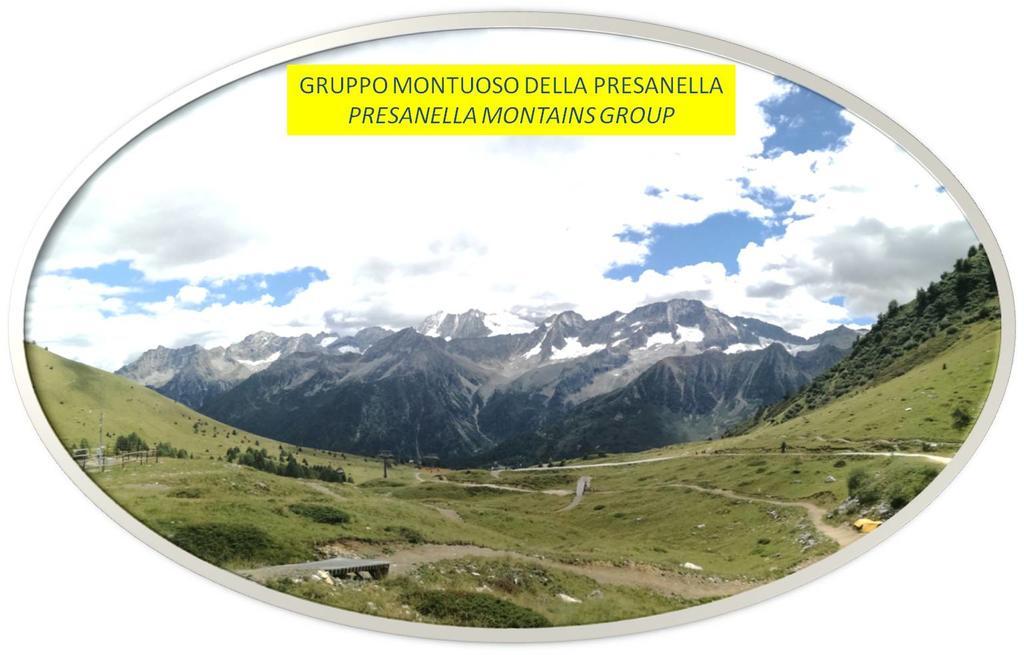 Marmot Apartment Dimaro Bagian luar foto